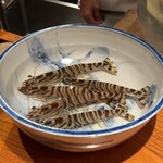 日本料理 別府 廣門 - 