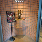 CACAOCAT 白金台店 - 