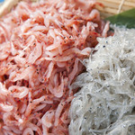 沼津魚がし鮨 流れ鮨 大井松田店