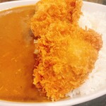 カリー カイラス - 