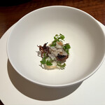 カセント - 姫甲烏賊 