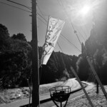 らーめん八平 - 