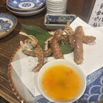 コンペイトウ - 