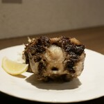 タンテール富士 - 