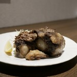 タンテール富士 - 