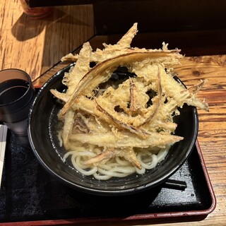 大地のうどん_0