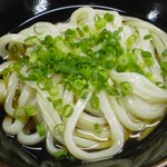 手打十段 うどんバカ一代 - ぶっかけうどん小　270円
