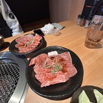 出芽金 - 