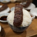 炭火焼肉ホルモンさわいし - オンザマンガ盛りライス