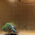 茶寮哲心 - 