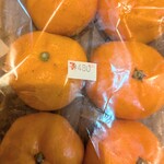 セブン-イレブン 相模原大島南店 - 大玉8個入り♡あ、、2個は・・どこ・・・？？？