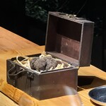 トレイス - 黒トリュフ