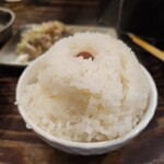 江古田ホルモン - めし　これで中盛り♪最高♪