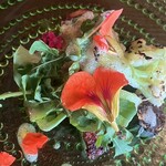 ビーナチュラル - 