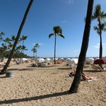 Hilton Hawaiian Village Waikiki Beach Resort - ヒルトン・ハワイアン・ビレッジ・ワイキキ・ビーチ・リゾートの風景です