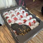 プリンス オブ ザ フルーツ - 