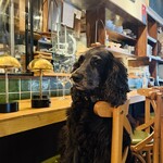 Stars'n Cacio Kyoto - 