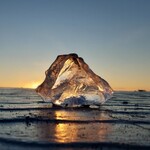 ベイラウンジコーヒー - 