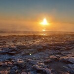 ベイラウンジコーヒー - 