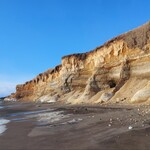 ベイラウンジコーヒー - 