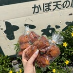 かぼ天の店なかそね - サータアンダギー