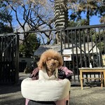 そば処 湧水 - お墓参りがメイン？ｗ