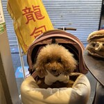 ダパイダン105 - シェリと