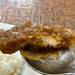 元祖とんかつカレー カツヤ - 本でも書かれていた、ペラいやつ代表　※これで1,320円かぁ……そんな思いは、消える事がない