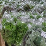 ファーマーズマーケットみやこ あたらす市場 - 