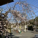 峰本 朝比奈店 - 