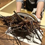 温石 - 焼津産の伊勢海老来た❗️