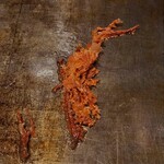 子ぐま - 牡蠣エキスの焦げ目