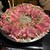 峻 - 料理写真: