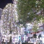 柳小路 まるうめ - ニコ玉のイルミはしだれ柳みたいね♪