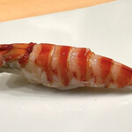 鮨おおが東山 - 車海老