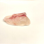 鮨おおが東山 - 明石の鯛