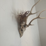 プレゼンテ スギ - 