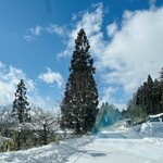 裁ちそば 紅葉亭 - 凍っている　運転注意⚠️