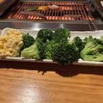 ヒレノコウジ - 