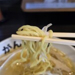 元祖一条流 がんこ総本家 分店 - 麺