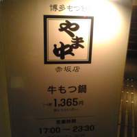 博多もつ鍋 やま中 赤坂店 - 
