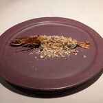 Spice & Dining KALA - 