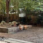 DINING ROOM IN THE NARAMACHI - 