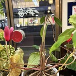 キッチン南海 - 