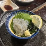 北海から来た男 池袋本店 - 