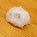 鮨 しゅん輔 - 茅部で揚がった水蛸。噴くぁんの恵みです