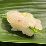 すし辰の立ち食い - 真鯛芽ねぎ