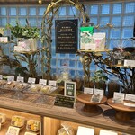 麻布森絵 Dr's Herb Tea - 