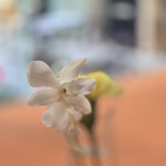 資生堂パーラー - 