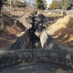 オレンジペコ - 